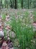 23.05.2010-106_t1.jpg