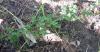 24.05.2010-005_t1.jpg