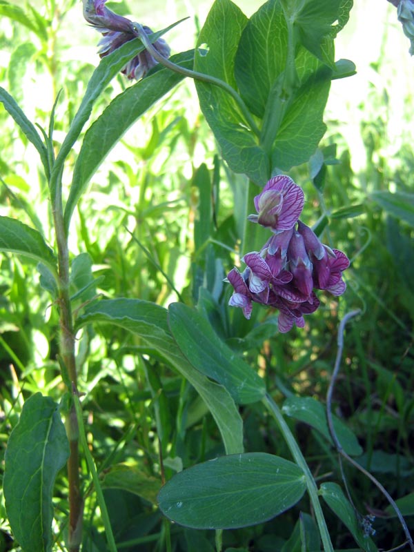 25.05.2010-036.jpg