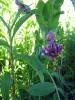 25.05.2010-036_t1.jpg