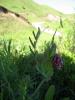 25.05.2010-041_t1.jpg