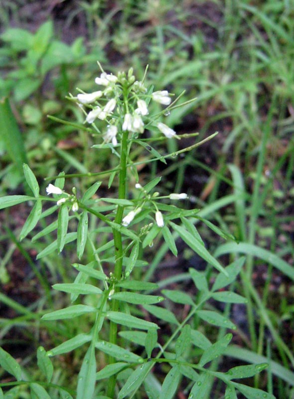 27.05.2010-072.jpg