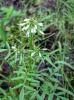 27.05.2010-072_t1.jpg