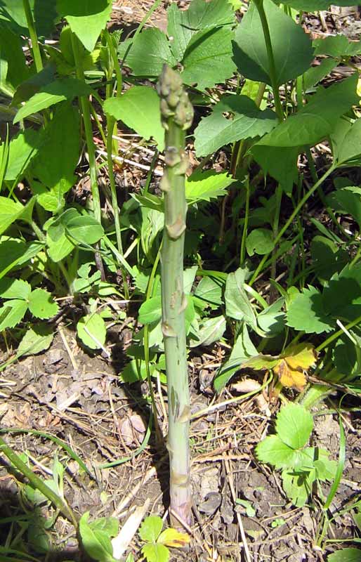 55207_874dc909.jpg