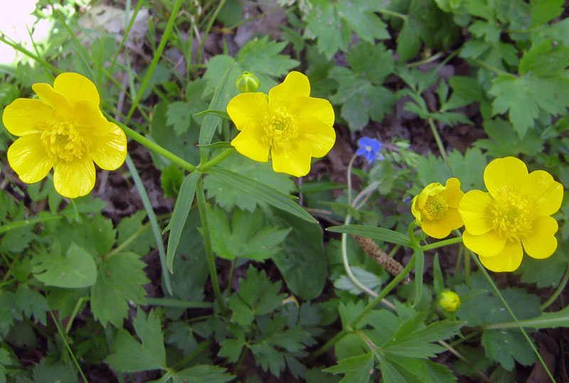 55331_e89e506d.jpg