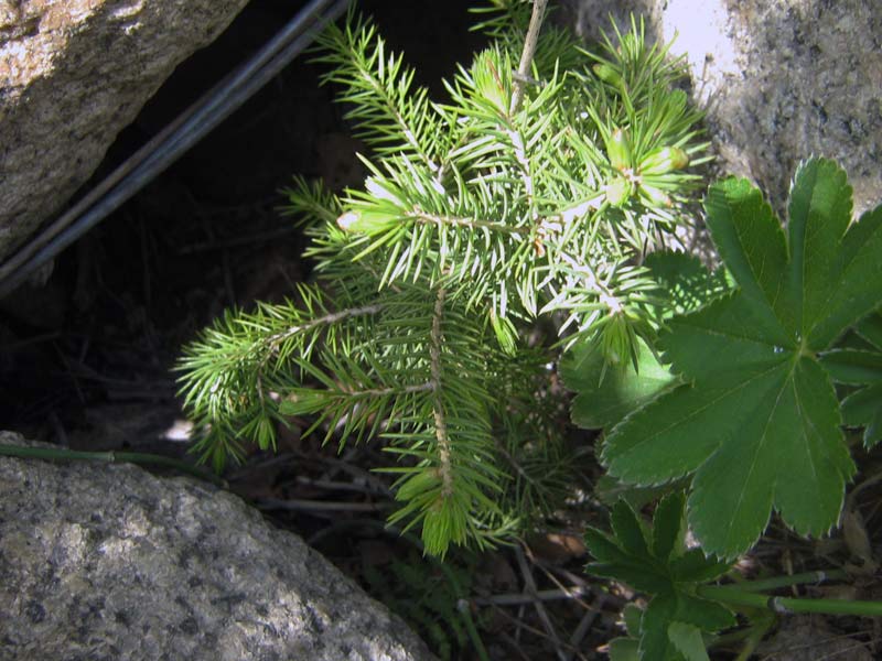 55485_061e2069.jpg
