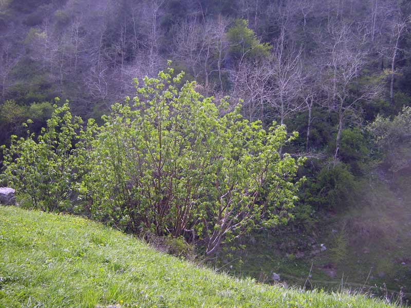 55490_772e0c5e.jpg