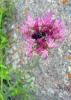 55978_0bb0ebc6_t1.jpg