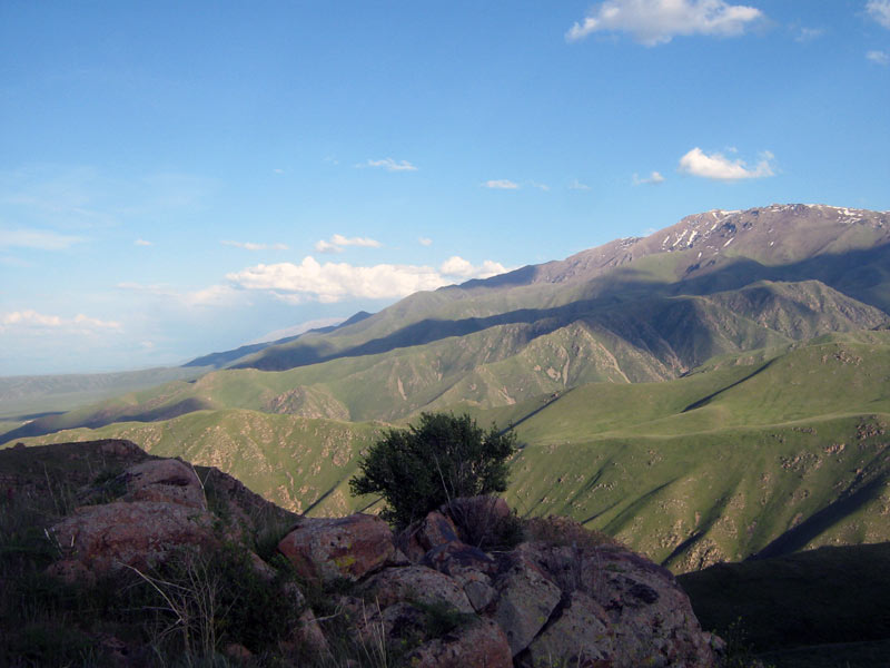 55997_d68974aa.jpg