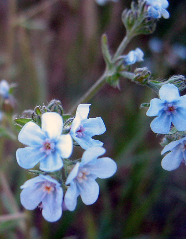 56003_55003c75.jpg