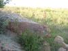 56014_b90dcc83_t1.jpg