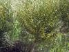 56034_ae522d64_t1.jpg