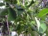 56446_8f69aeae_t1.jpg