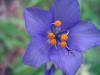 57001_1cd099eb_t1.jpg