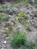 57021_8cdf79c5_t1.jpg
