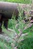 57024_7f6d452b_t1.jpg