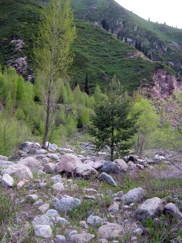 57035_21e31f1d.jpg