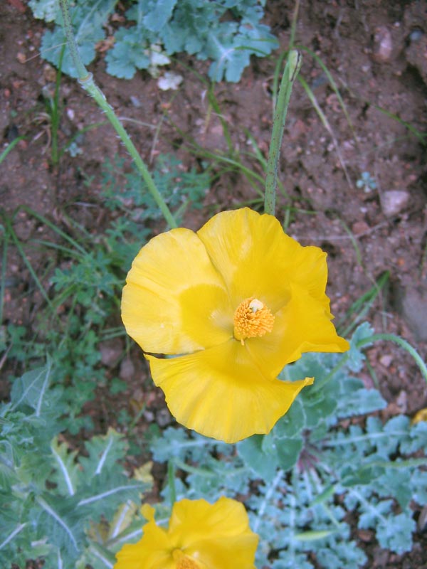57138_a17460ef.jpg