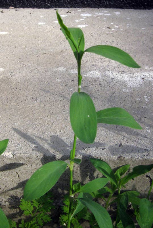 57579_fe06cb5d.jpg