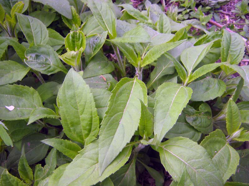 6.05.2010-017.jpg