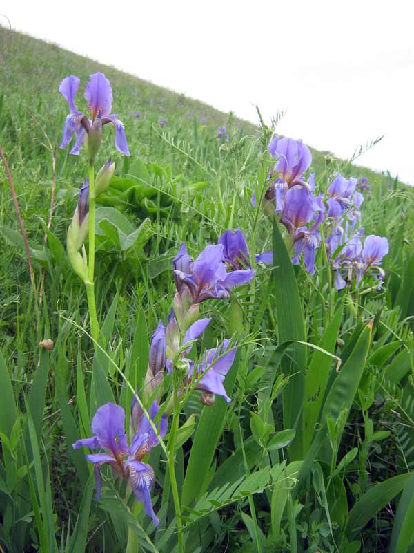 7.05.2010-114.jpg