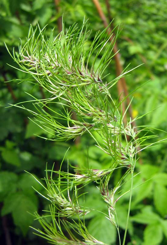 7.05.2010-204.jpg