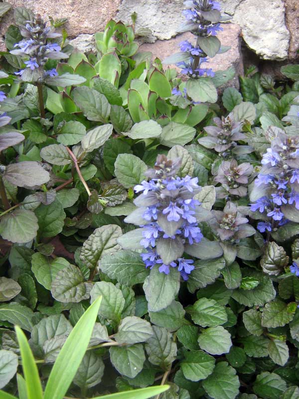 7.05.2010-231.jpg