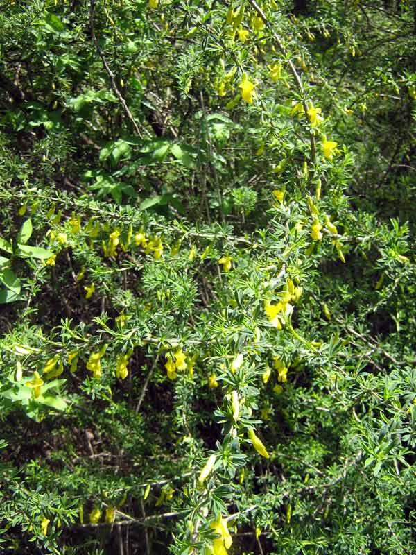 9.05.2010-039.jpg