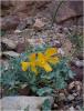 dsc00919_t1.jpg