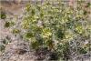dsc00967_t1.jpg