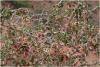 dsc01005_t1.jpg