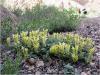 dsc01042_t1.jpg
