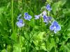 dscn8381_t1.jpg