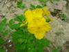 dscn8494_t1.jpg