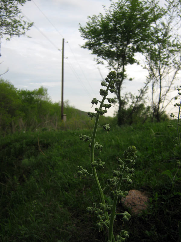 img_7944.jpg