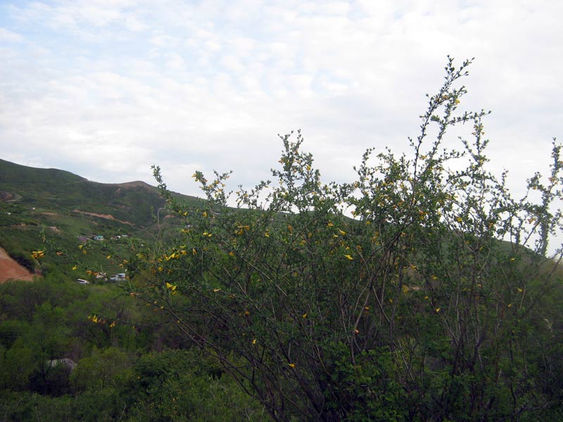 img_8064.jpg