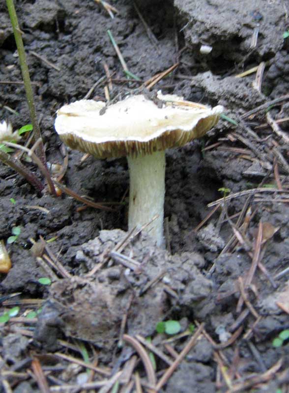 097_1.jpg