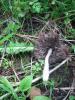 10.06.2010-003_t1.jpg