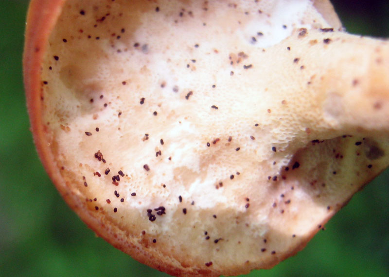 10.06.2010-017.jpg