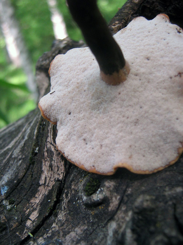 10.06.2010-038.jpg