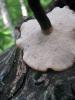10.06.2010-038_t1.jpg