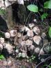 10.06.2010-076_t1.jpg
