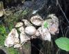 10.06.2010-077_t1.jpg
