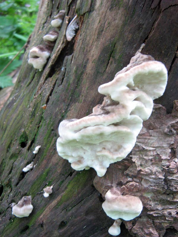 10.06.2010-088.jpg