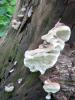10.06.2010-088_t1.jpg