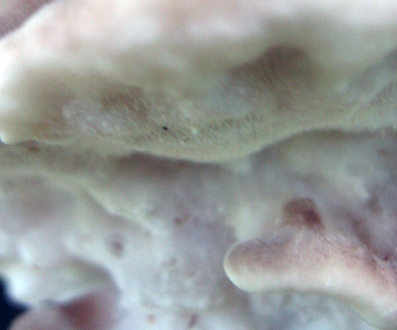 10.06.2010-092.jpg
