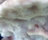 10.06.2010-092_t1.jpg