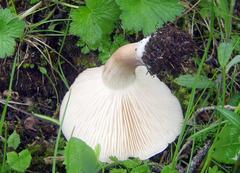 119.jpg