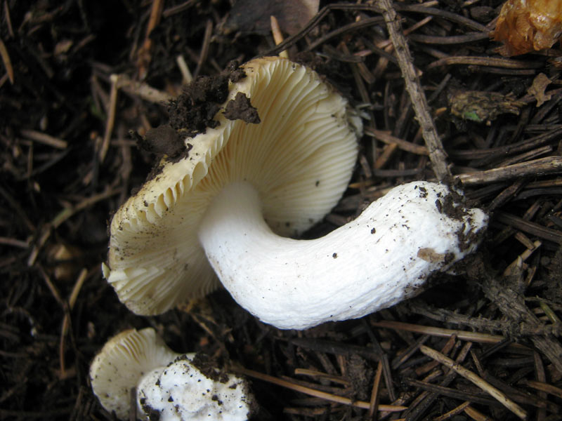 12-14.06.2010-151.jpg