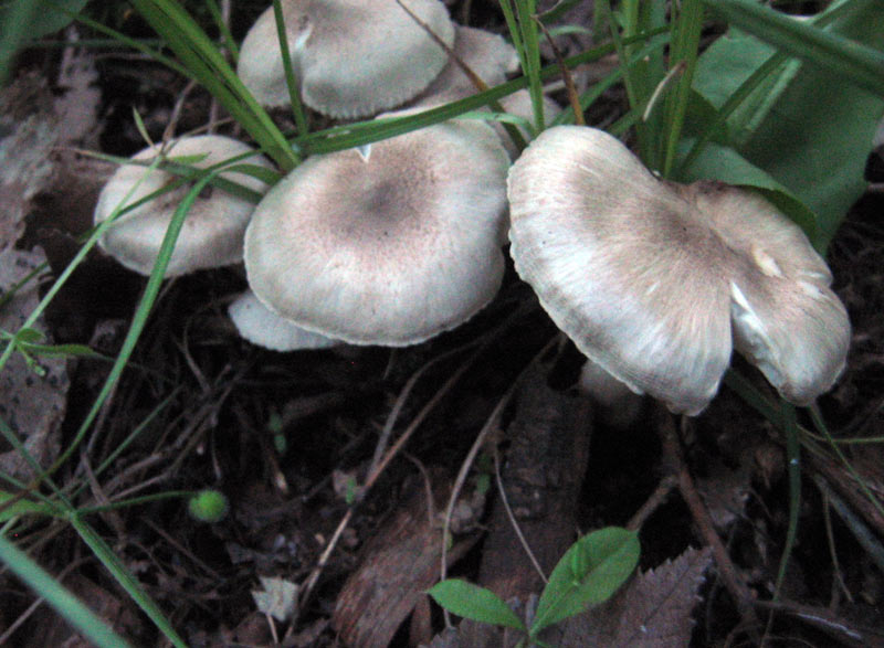 6.06.2010-108.jpg